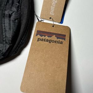 COPY - Patagonia Mini Hip Bag